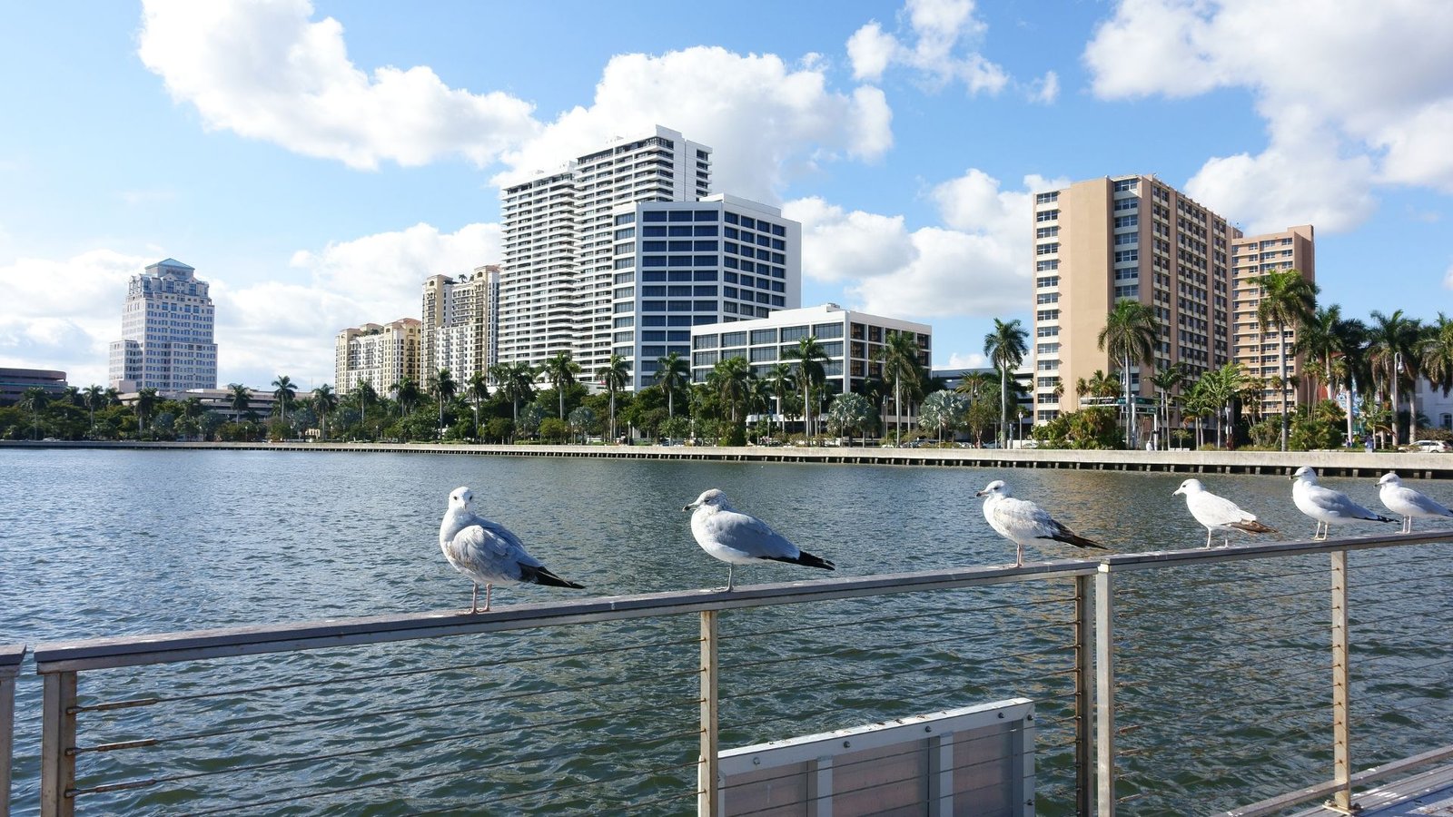 West Palm Beach homes for sale 2025 reflecting rising inventory